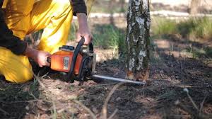 Best Weed Control  in Clyde, NC